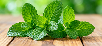 Peppermint Leaf