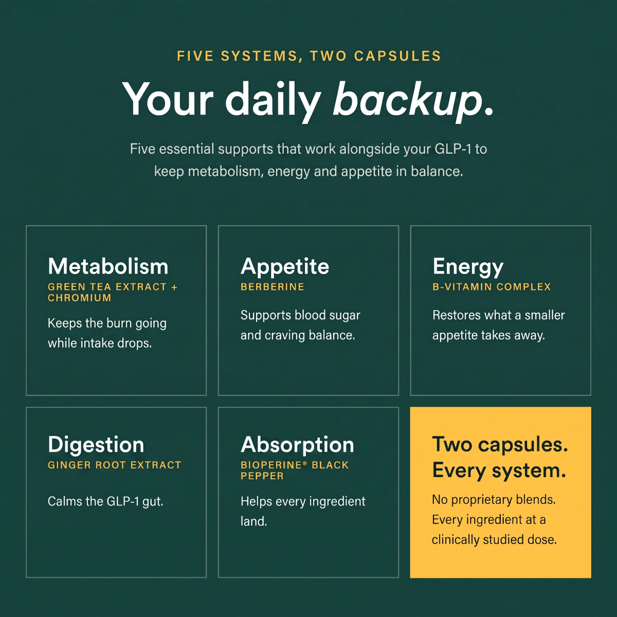 Your daily backup