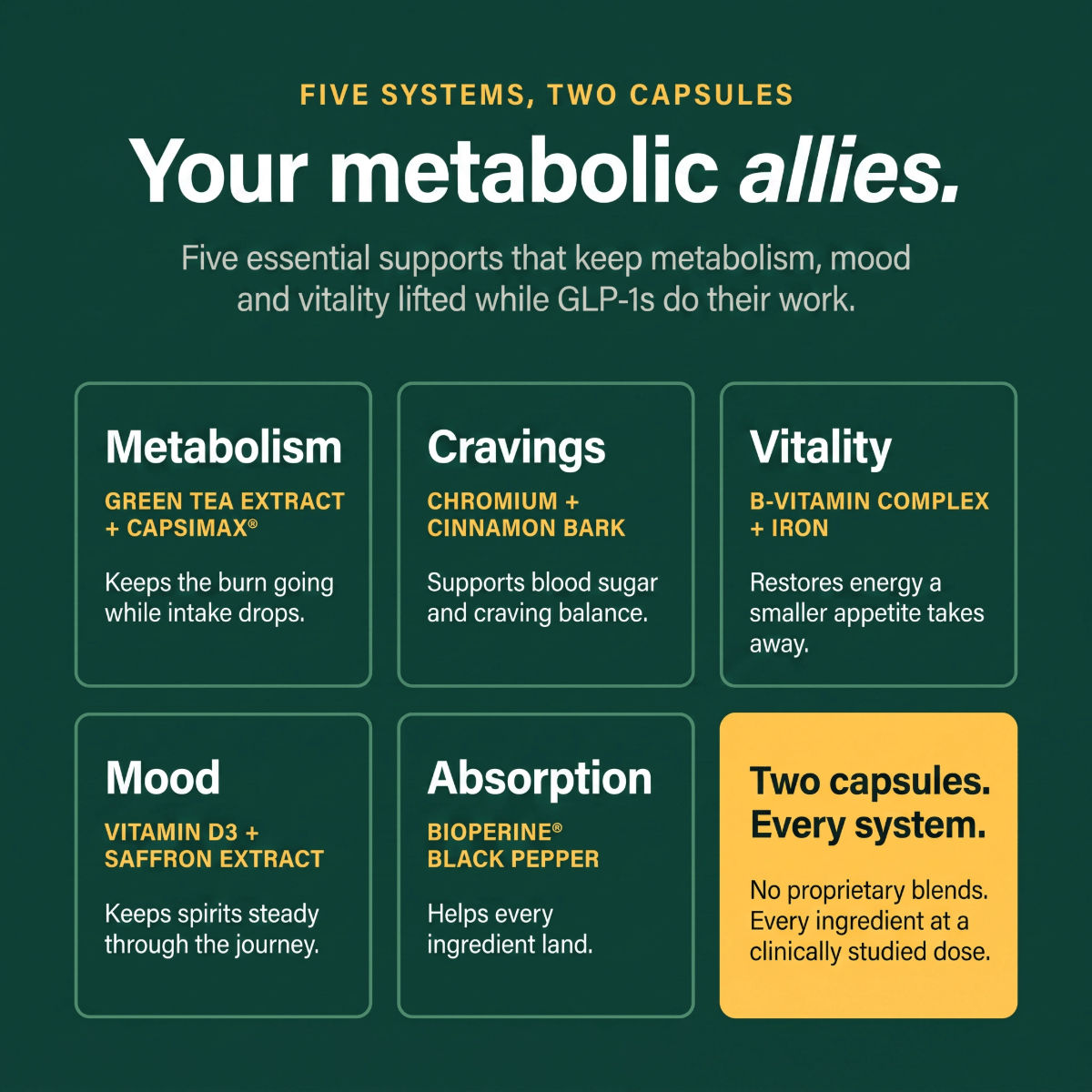 Your metabolic allies